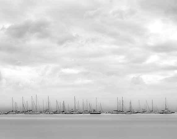 Collins Cove in Fog