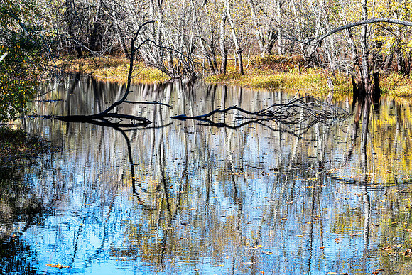 Ipswich River