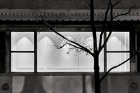 Window Scene at Night