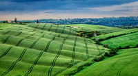 Tractor Trails in Tuscany