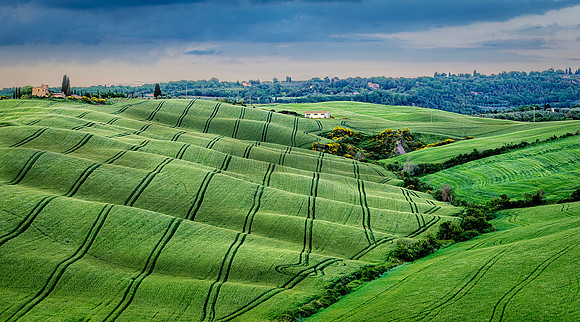Tractor Trails in Tuscany