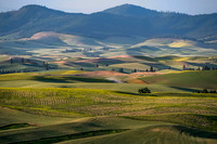 Palouse Landscape #3