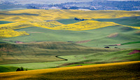 Palouse Landscape