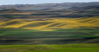 Palouse Landscape #2