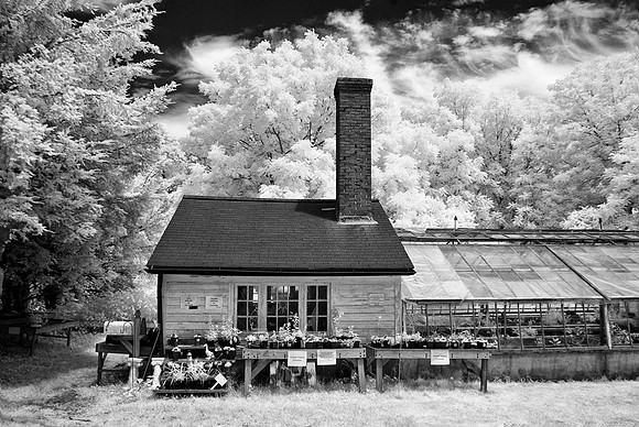 Glen Magna Greenhouse