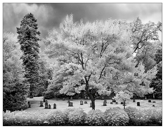 Mount Auburn Cemetary