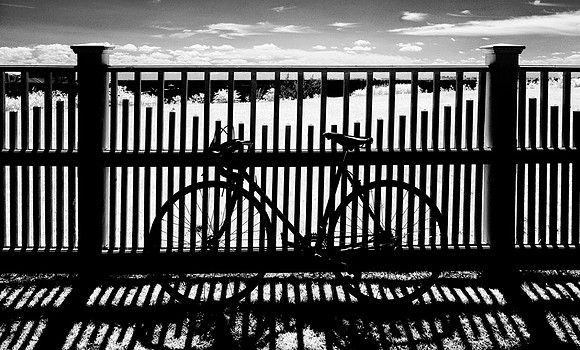 Circles and Lines