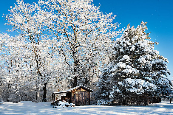 Woodshed at Rebecca Nurse House