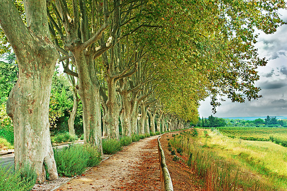 The Road to Nimes
