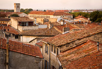 Rooftops, Arles