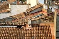 Cat on Rooftop, Arles