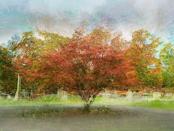 Mt Auburn Cemetery in Fall