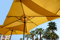 Yellow Umbrella