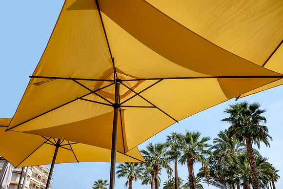 Yellow Umbrella