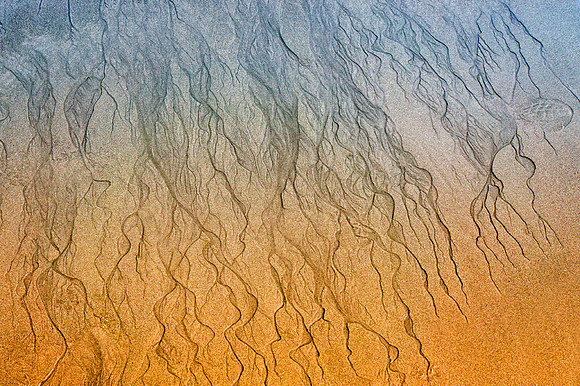Sand Sculpture