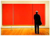 MoMA 2012