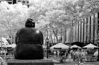 Gertrude Stein at Bryant Park