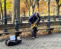 Sax Player in Central Park