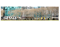 Bryant Park Panorama