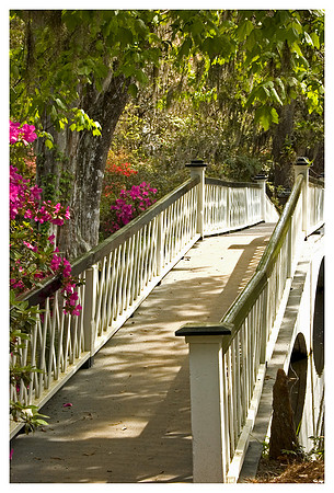 The Long White Bridge, Magnolia Plantation SC
